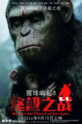都市情感精选
